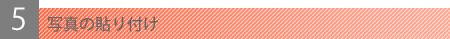 ʐ^̓\t